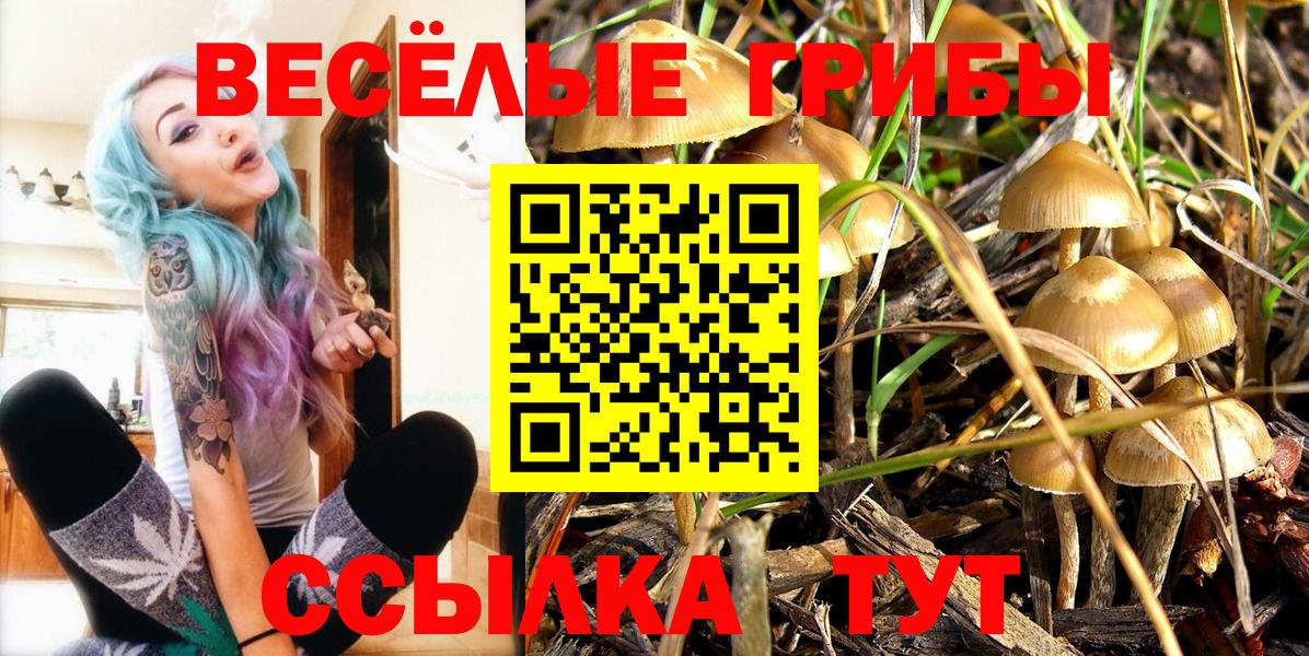 Псилоцибиновые грибы ЛСД  купить наркоту  Вход с VPN  Мыски  Псилоцибиновые грибы Psilocybe 